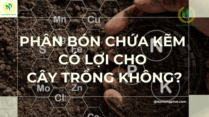 Phân bón chứa kẽm có lợi cho cây trồng không