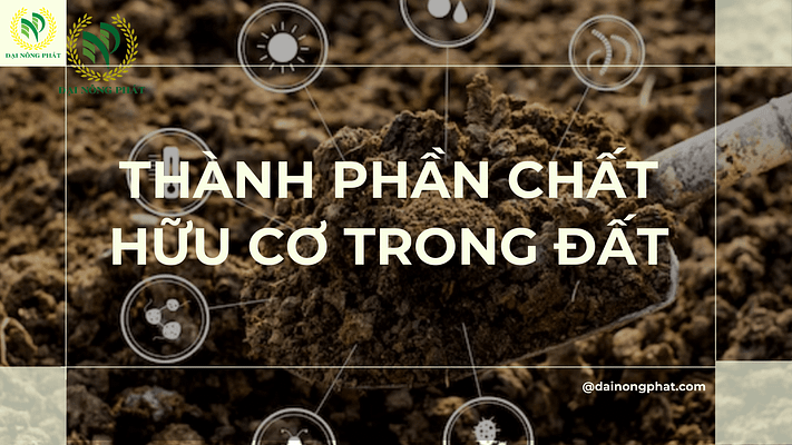 Thành phần chất hữu cơ trong đất